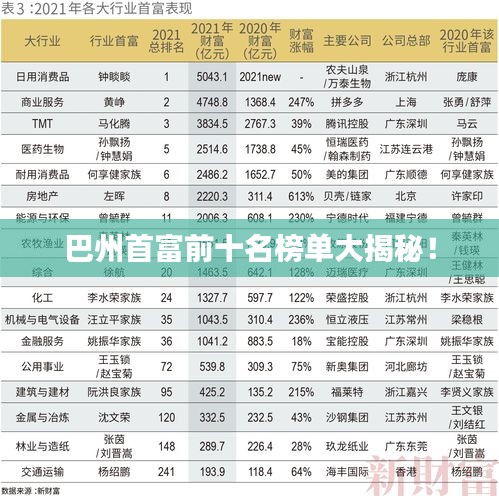 巴州首富前十名榜单大揭秘！