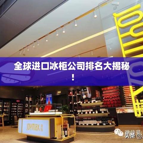 全球进口冰柜公司排名大揭秘！