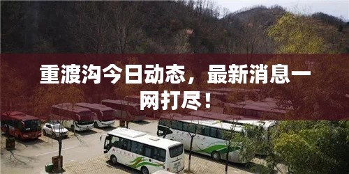 重渡沟今日动态，最新消息一网打尽！