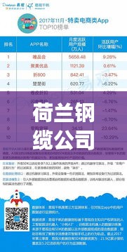 荷兰钢缆公司排名揭晓，TOP 10企业榜单重磅出炉！