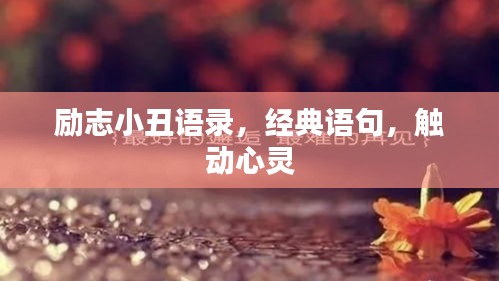 励志小丑语录，经典语句，触动心灵