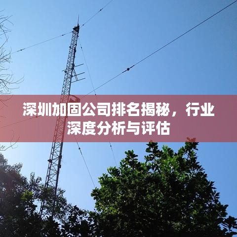 蚁出蚋飞 第2页
