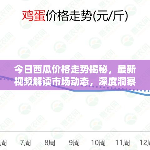 今日西瓜价格走势揭秘，最新视频解读市场动态，深度洞察消费者需求