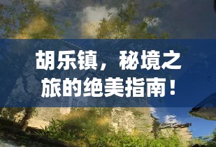 胡乐镇，秘境之旅的绝美指南！