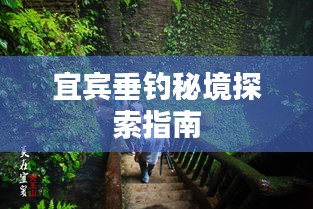 宜宾垂钓秘境探索指南