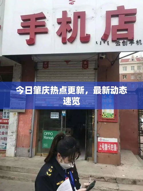 今日肇庆热点更新，最新动态速览