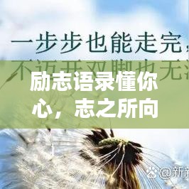 励志语录懂你心，志之所向成果显现