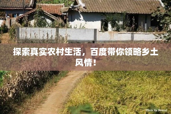 探索真实农村生活，百度带你领略乡土风情！