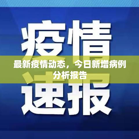 最新疫情动态，今日新增病例分析报告