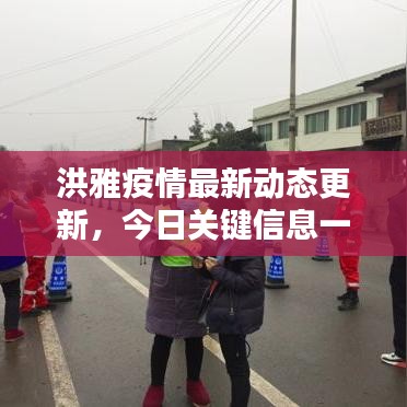 洪雅疫情最新动态更新，今日关键信息一网打尽！