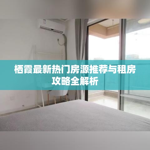 栖霞最新热门房源推荐与租房攻略全解析