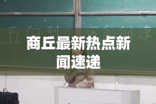 商丘最新热点新闻速递