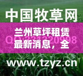兰州草坪租赁最新消息，全面更新，不容错过！