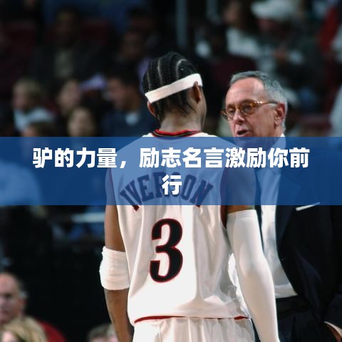 驴的力量，励志名言激励你前行
