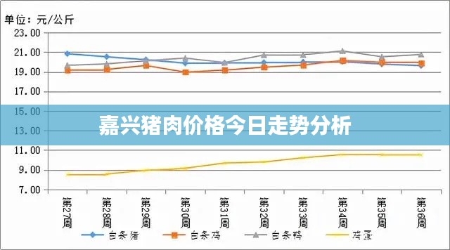 嘉兴猪肉价格今日走势分析