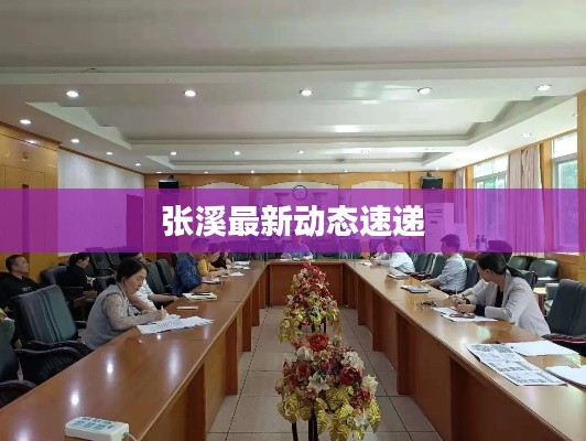 张溪最新动态速递