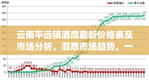 云南平远镇酒席最新价格表及市场分析，洞悉市场趋势，一览无遗