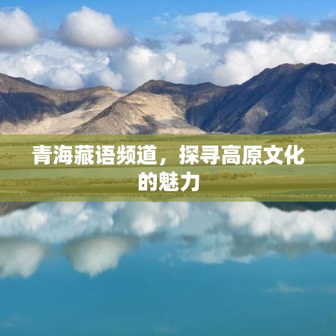 青海藏语频道，探寻高原文化的魅力