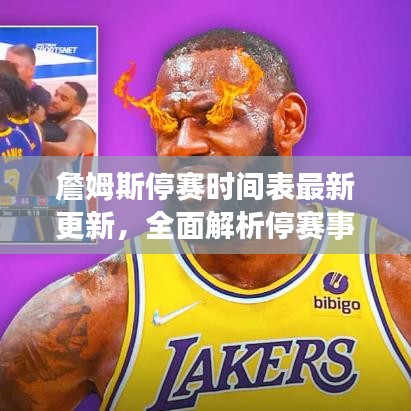 詹姆斯停赛时间表最新更新，全面解析停赛事宜