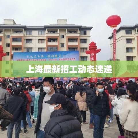上海最新招工动态速递