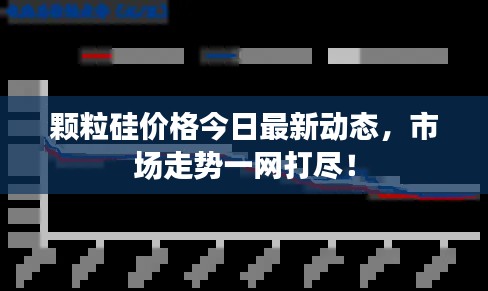 颗粒硅价格今日最新动态，市场走势一网打尽！