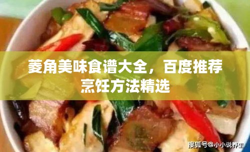菱角美味食谱大全，百度推荐烹饪方法精选