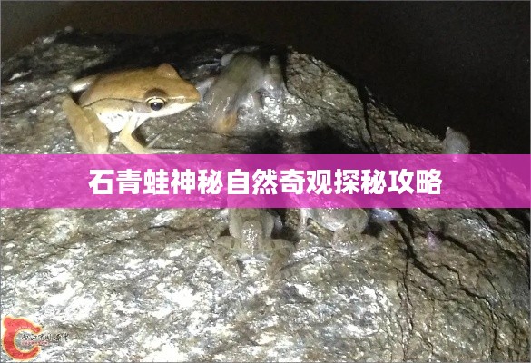 国色天姿 第2页