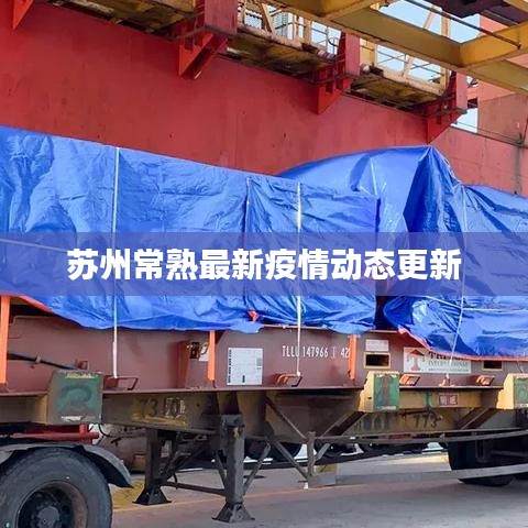 张皇无措
