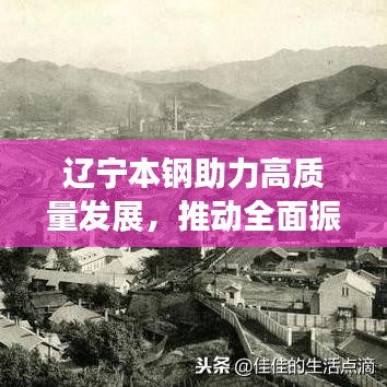 比张比李