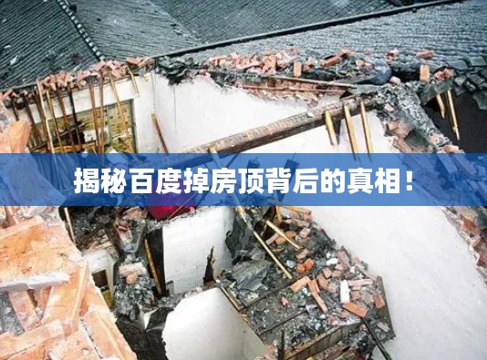 揭秘百度掉房顶背后的真相！