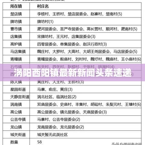 涡阳西阳镇最新新闻头条速递