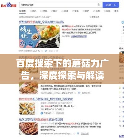 百度搜索下的蘑菇力广告，深度探索与解读