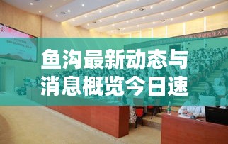 鱼沟最新动态与消息概览今日速递