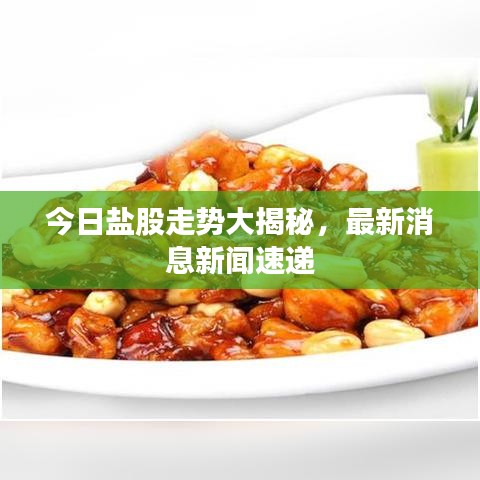 今日盐股走势大揭秘，最新消息新闻速递