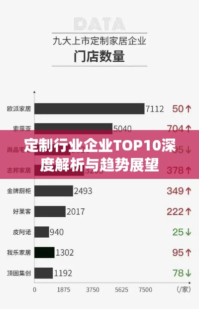 定制行业企业TOP10深度解析与趋势展望