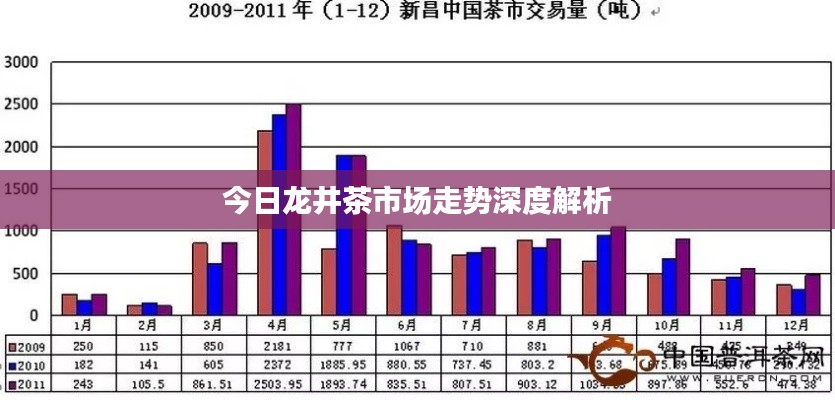 今日龙井茶市场走势深度解析