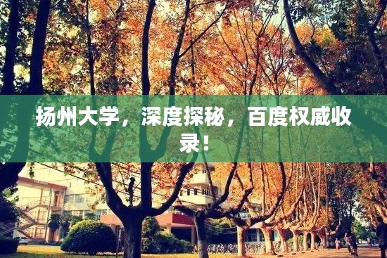扬州大学，深度探秘，百度权威收录！