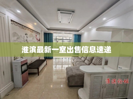 淮滨最新一室出售信息速递