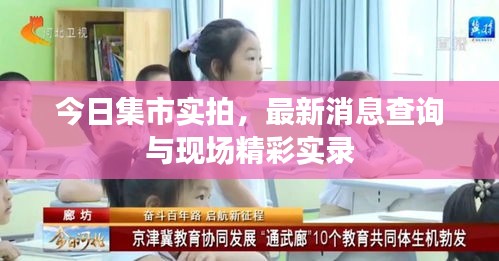 今日集市实拍，最新消息查询与现场精彩实录