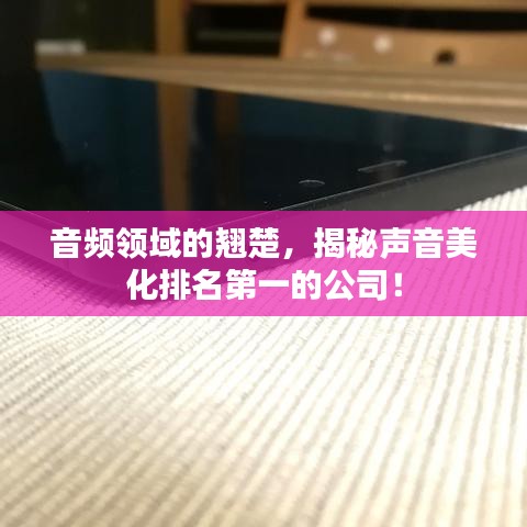 音频领域的翘楚，揭秘声音美化排名第一的公司！