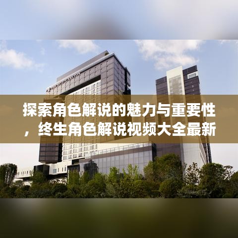 探索角色解说的魅力与重要性，终生角色解说视频大全最新解析