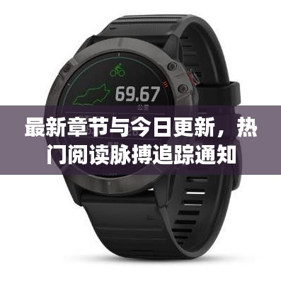 最新章节与今日更新，热门阅读脉搏追踪通知