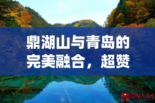 鼎湖山与青岛的完美融合，超赞旅游攻略
