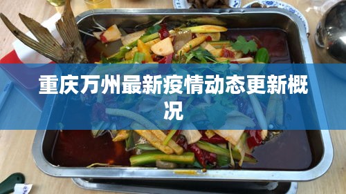 重庆万州最新疫情动态更新概况