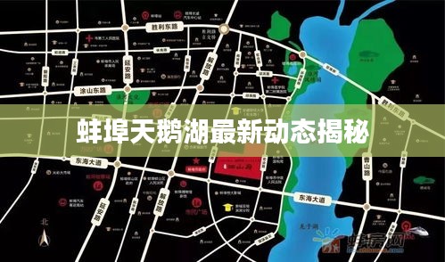 蚌埠天鹅湖最新动态揭秘