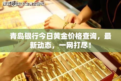 青岛银行今日黄金价格查询，最新动态，一网打尽！