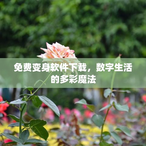 免费变身软件下载，数字生活的多彩魔法