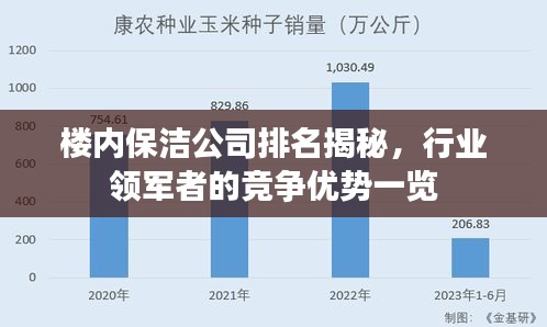 楼内保洁公司排名揭秘，行业领军者的竞争优势一览