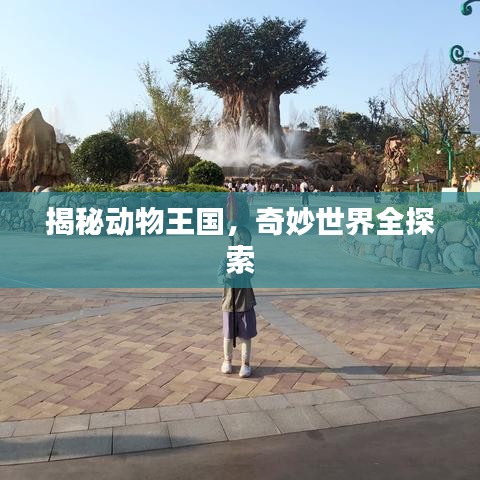 揭秘动物王国，奇妙世界全探索
