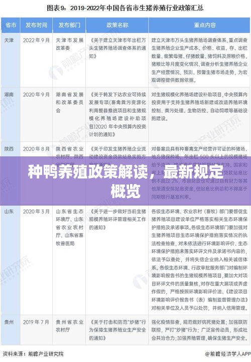 种鸭养殖政策解读，最新规定概览